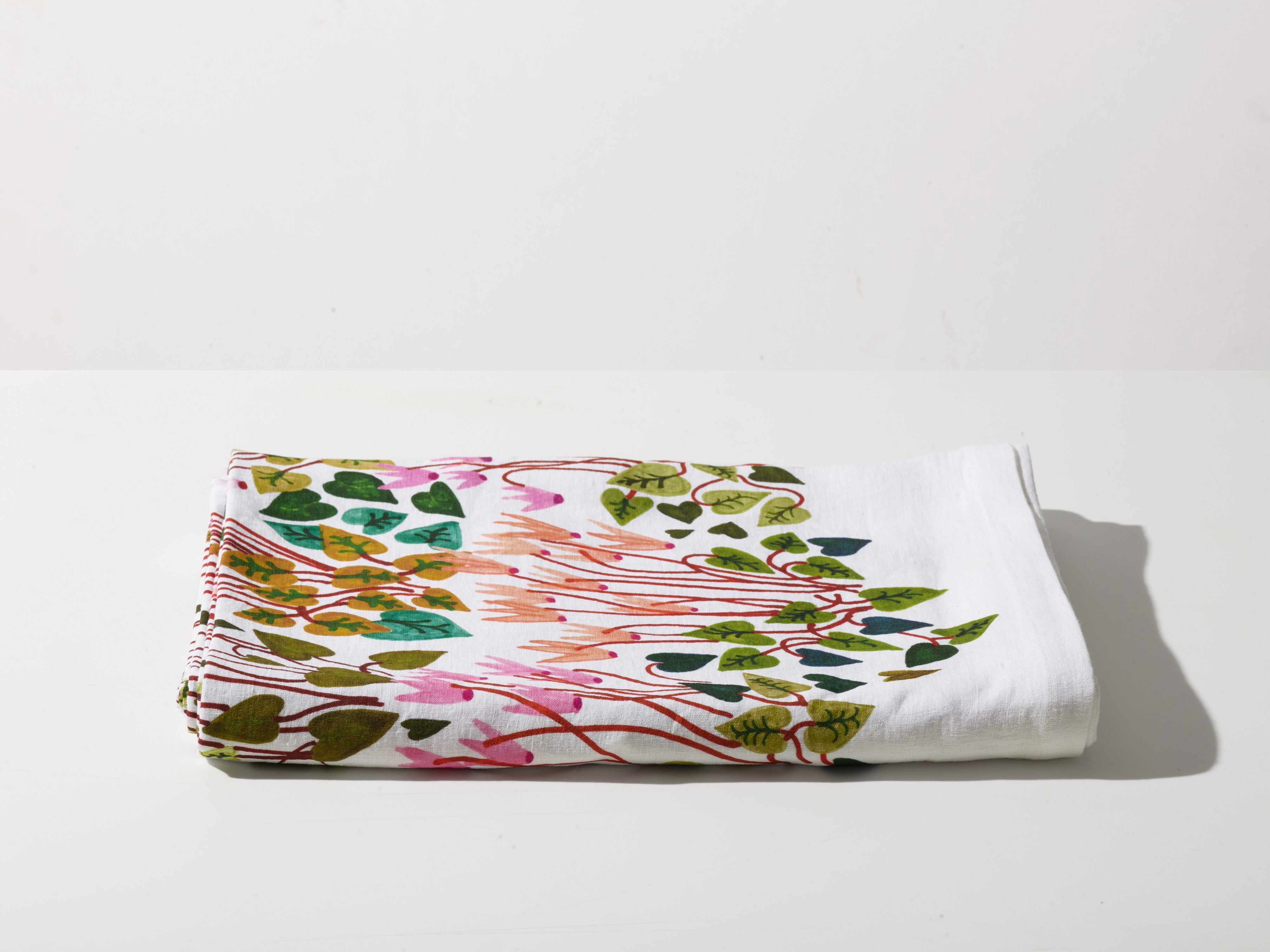 NEW!  Cyclamens
