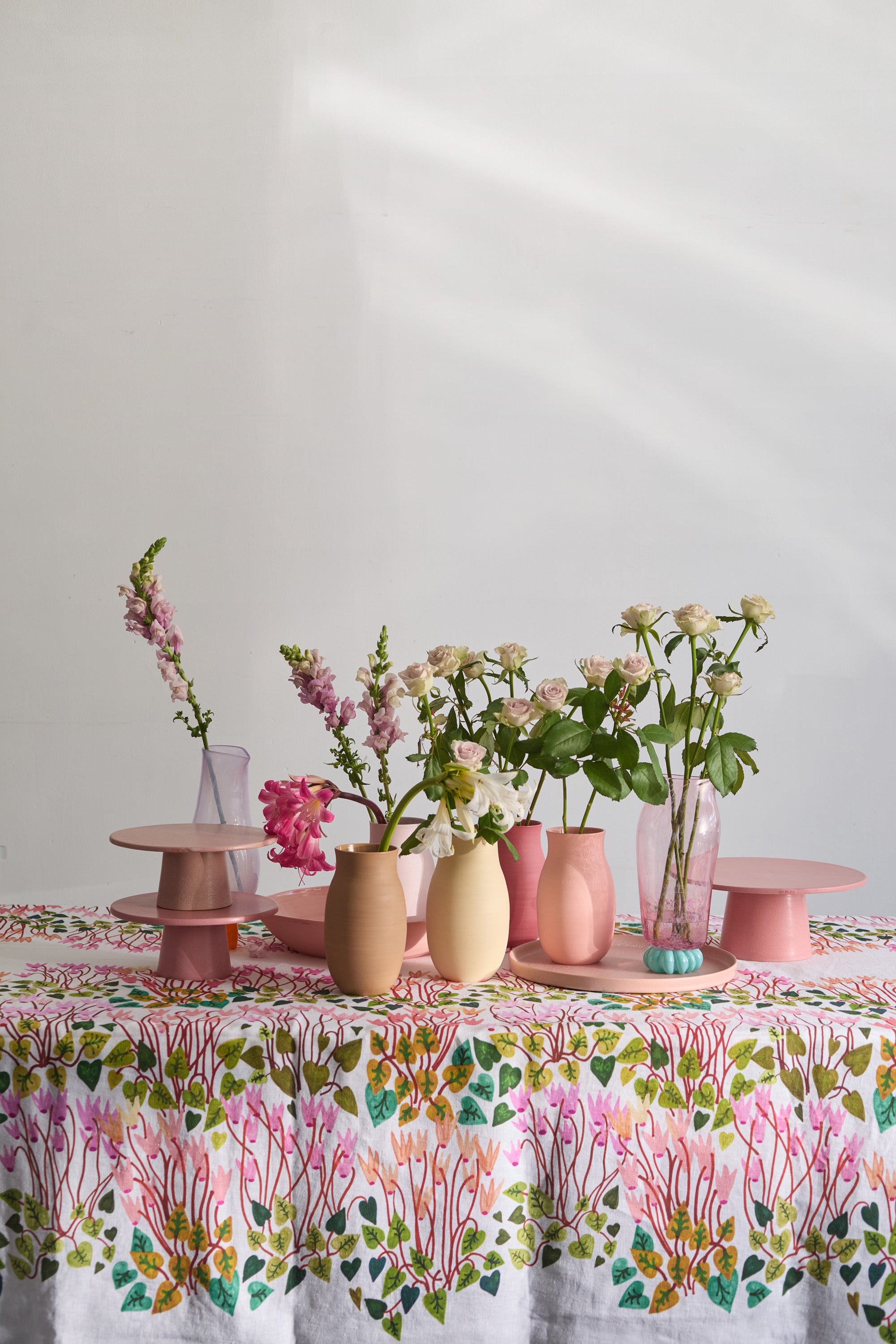 NEW!  Cyclamens