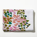 NEW!  Cyclamens
